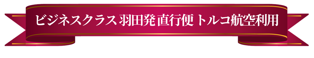 成田・羽田発直行便！トルコ航空で行く！