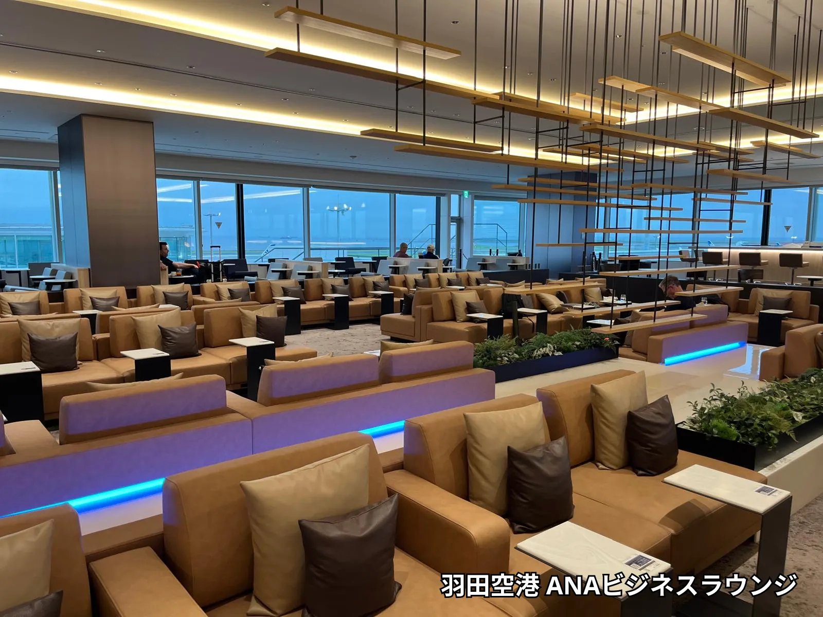 ビジネスクラスの画像